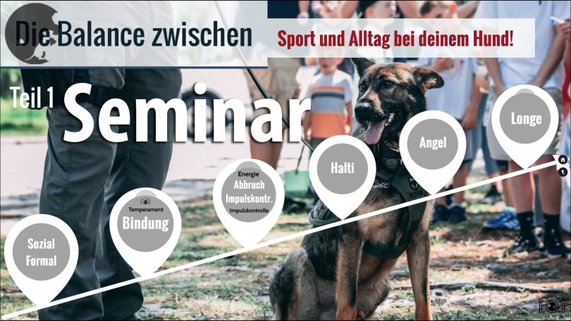 Seminar: Die Balance zwischen Sport und Alltag in deinem Hund.