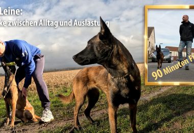 Die Leine - Brücke zwischen Alltag und Auslasutng