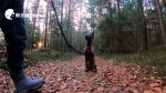 5 Tipps für den optimalen Spaziergang