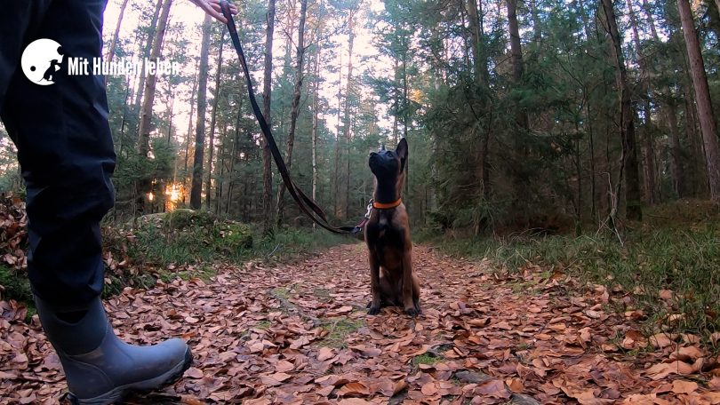 5 Tipps für den optimalen Spaziergang