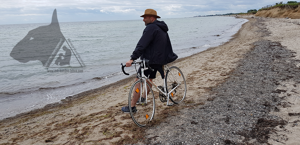 Das Rennrad von Franz - Tod und doch lebendig. 