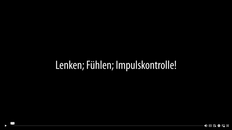 Impulskontrolle - Malinois