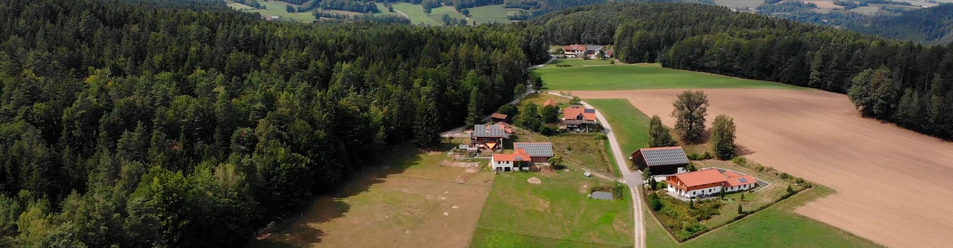 Der Lamahof in Bayern