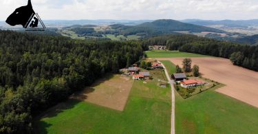 Der Lamahof in Bayern