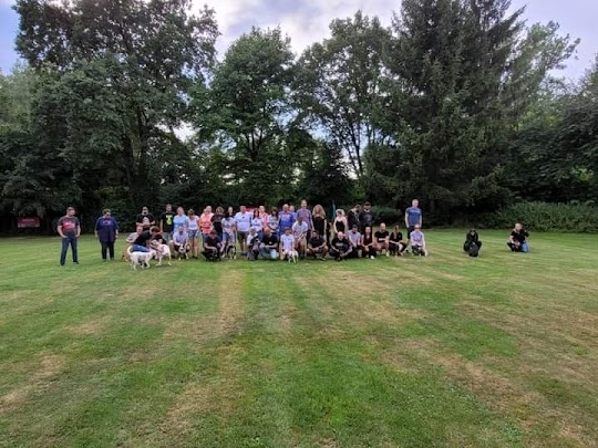 Bullterrier-Seminar 2021 in Nürnberg