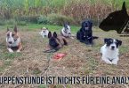 Gruppenstunde ist nichts für eine Analyse