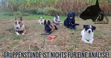 Gruppenstunde ist nichts für eine Analyse