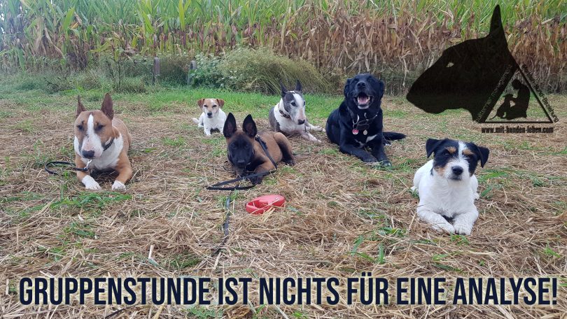 Gruppenstunde ist nichts für eine Analyse