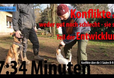 Konflikte erkennen und auflösen!