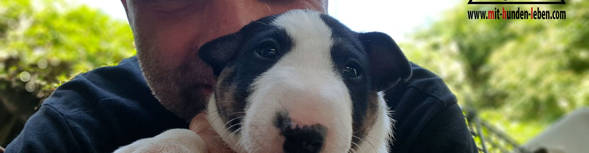 Chili Pepper und Mit Hunden leben - Hundeschule
