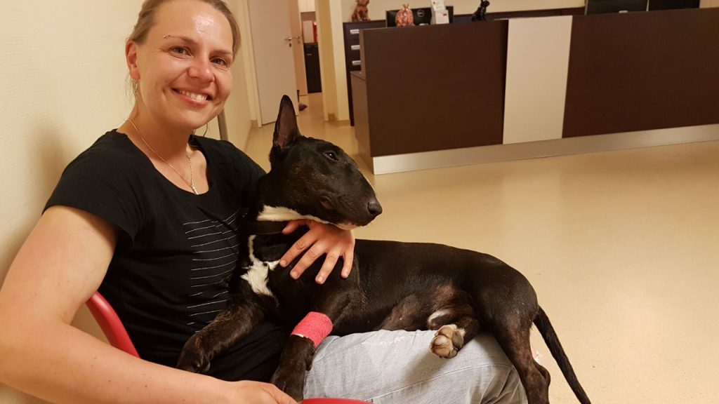 Mit Freude in der Tierklinik.