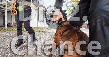 Malinois - die zweite Chance