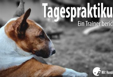 Tagespraktikum