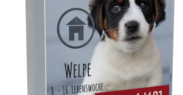 Welpen-Training - das Ankommen