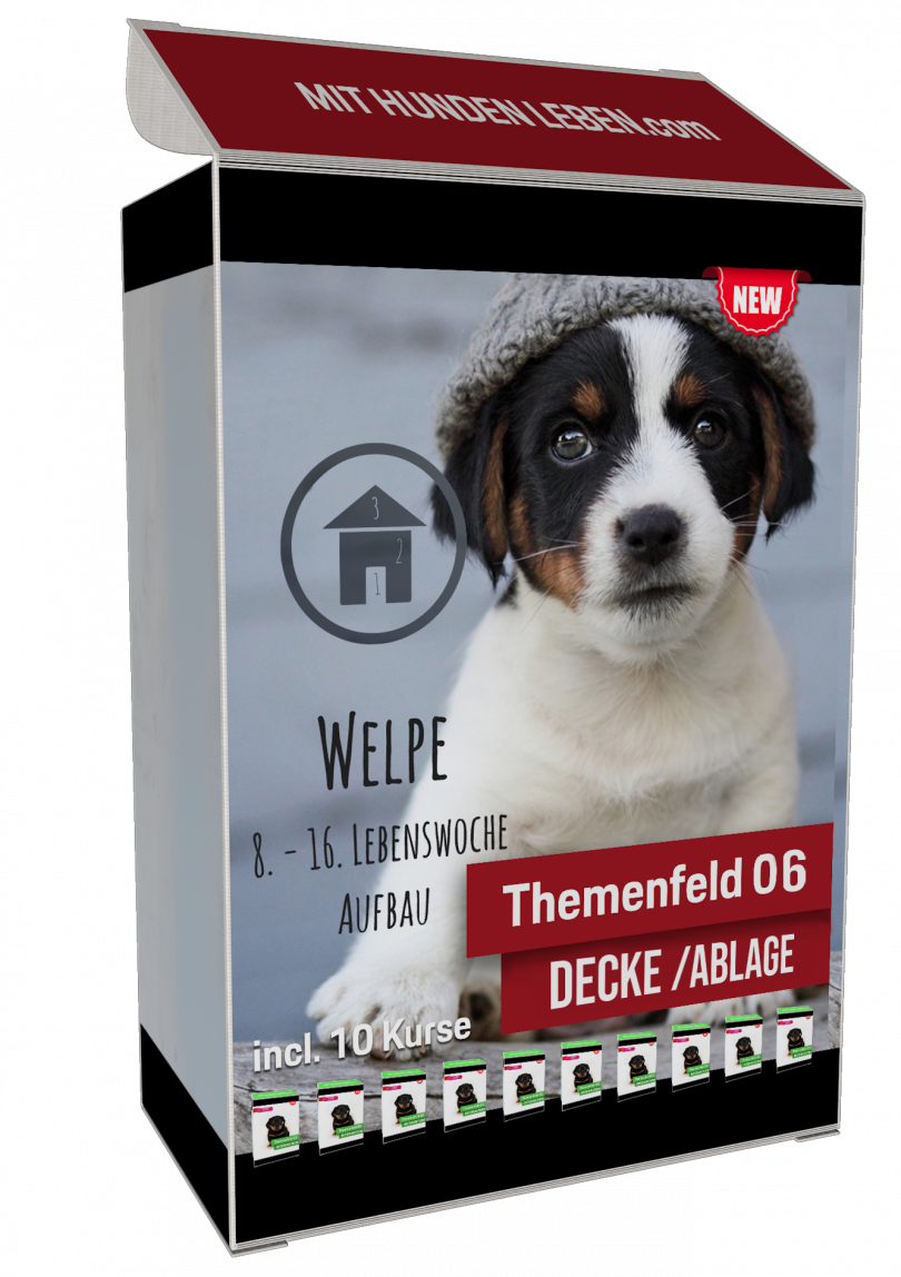 Welpentraining online zur inneren Ruhe