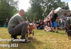 Bullterrier-Seminar 2022
