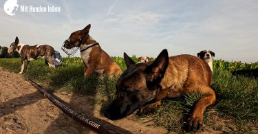 10 Regeln für einen ruhigen Spaziergang