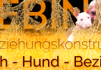 Webinar - Beziehungskonstrukt