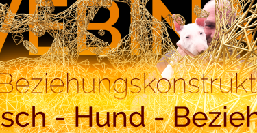 Webinar - Beziehungskonstrukt