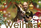 Der ideale Kunde - Weihnachten 2019