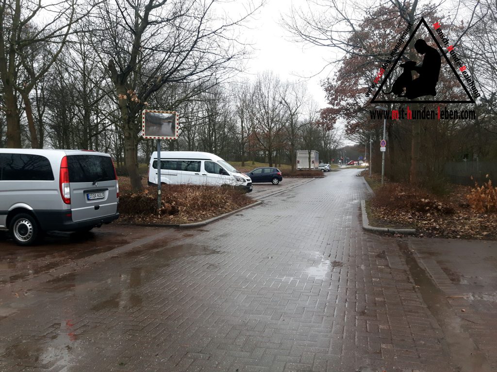 Die Straße zur Haltestelle in der Buga. 