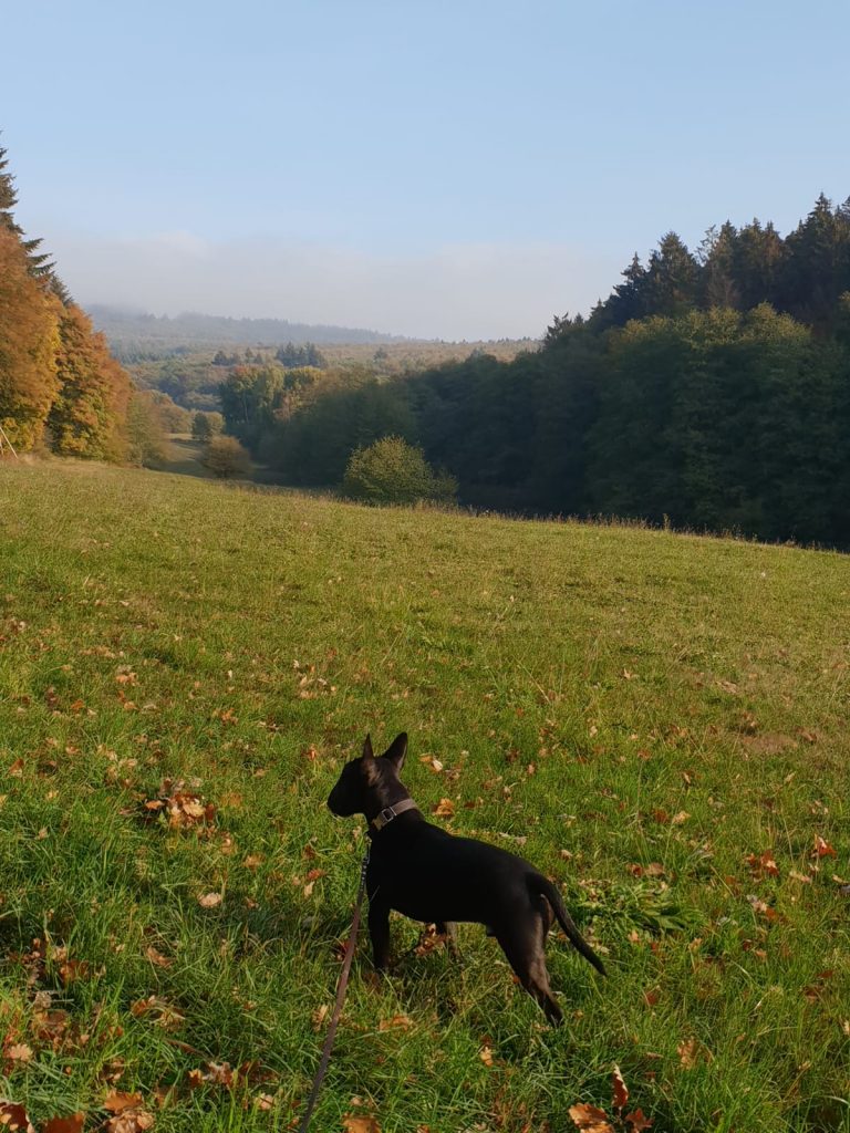 Frei sein kann Arbeit bedeuten - Am Ende lohnt es sich immer!