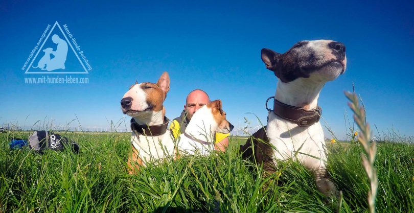 Mit Hunden Leben Hundeschule Dusseldorf