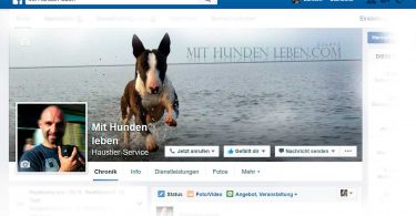 facebook - Mit Hunden leben