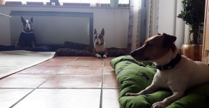 Hausordnung in der Wohung