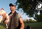 Mit Hunden leben - Hundeschule trägt einen kleinen Miniatur Bullterrier auf den Arm