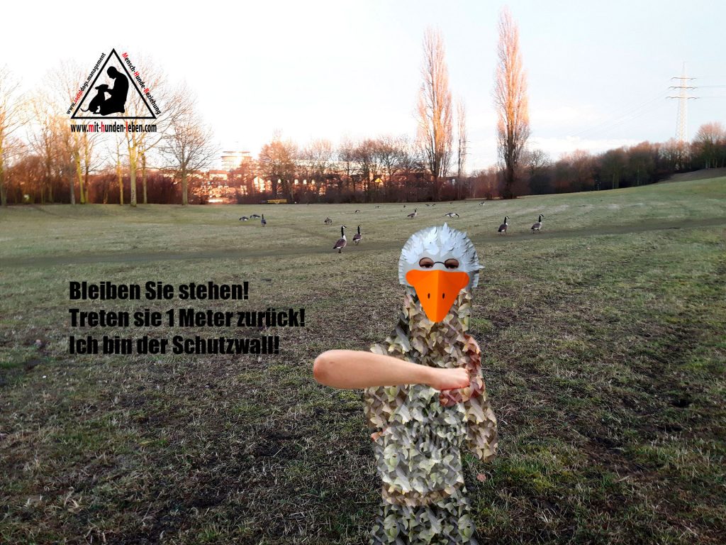 Dei Kampfsportlady im Gänsekostüm
