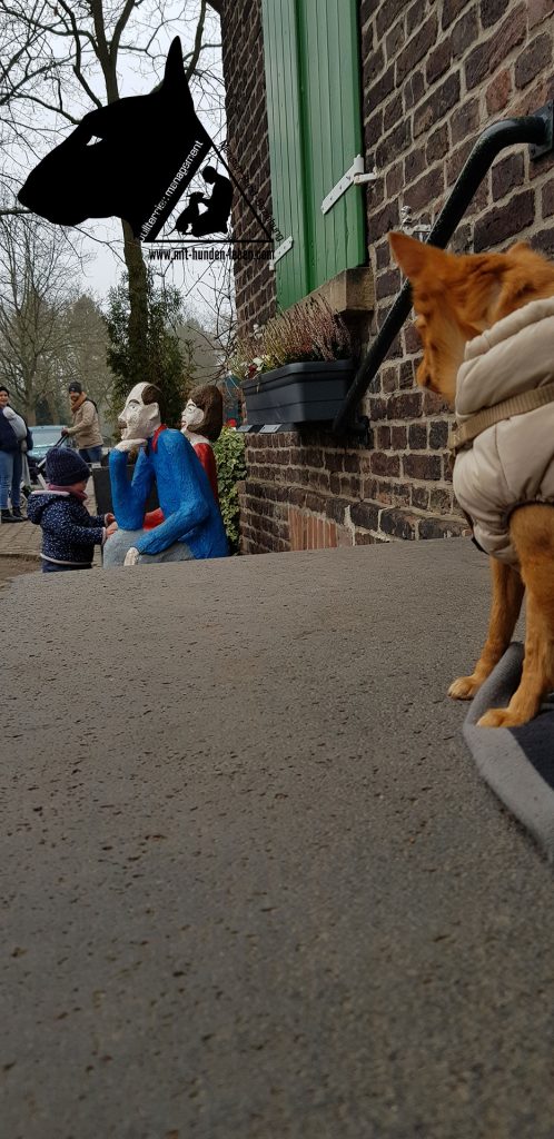 kleiner-Hund-schaut-Kinder-an