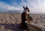 Kunden erzählen - Mit Hunden leben.com