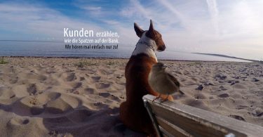 Kunden erzählen - Mit Hunden leben.com