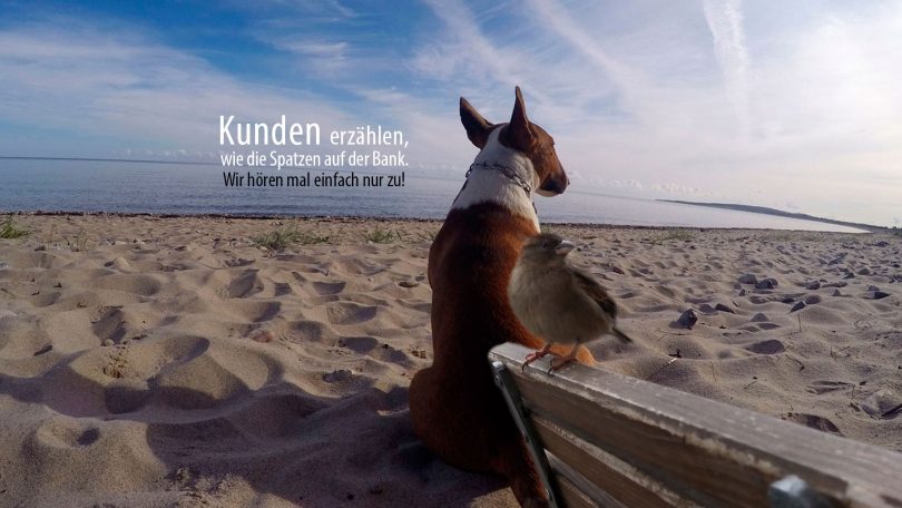 Kunden erzählen - Mit Hunden leben.com